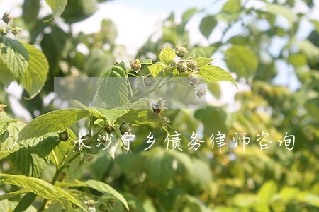 长沙宁乡债务律师咨询 长沙宁乡债务律师咨询