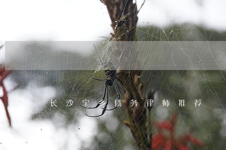 长沙宁乡债务律师推荐 长沙宁乡债务律师推荐