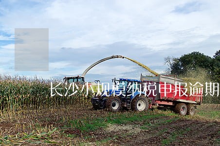 长沙小规模纳税申报逾期 长沙小规模纳税申报逾期