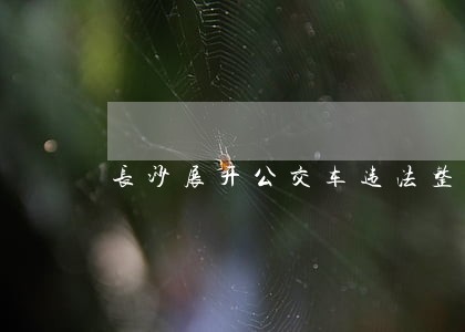 长沙展开公交车违法整治汇总 长沙展开公交车违法整治汇总