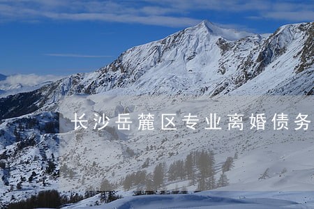 长沙岳麓区专业离婚债务律师 长沙岳麓区专业离婚债务律师