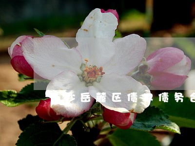 长沙岳麓区债权债务合同律师费 长沙岳麓区债权债务合同律师费