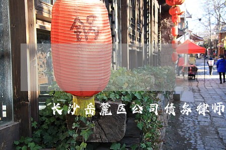 长沙岳麓区公司债务律师 长沙岳麓区公司债务律师