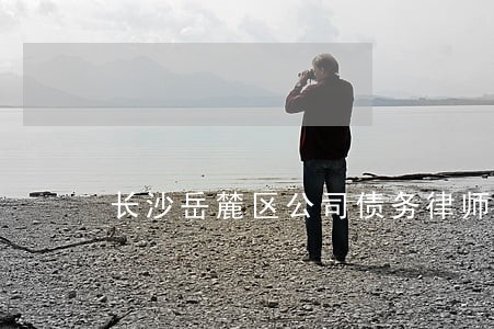长沙岳麓区公司债务律师费 长沙岳麓区公司债务律师费
