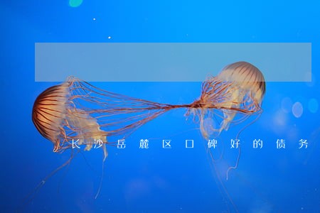 长沙岳麓区口碑好的债务追讨律师 长沙岳麓区口碑好的债务追讨律师