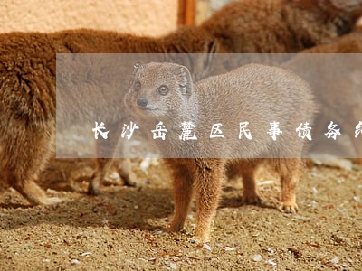 长沙岳麓区民事债务纠纷律师费 长沙岳麓区民事债务纠纷律师费