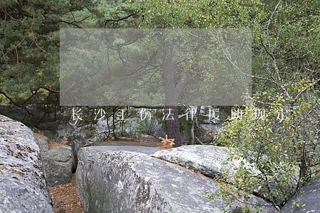 长沙工伤法律援助规定 长沙工伤法律援助规定