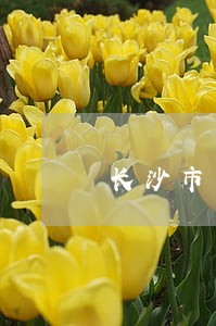 长沙市专业民事债务纠纷律师 长沙市专业民事债务纠纷律师