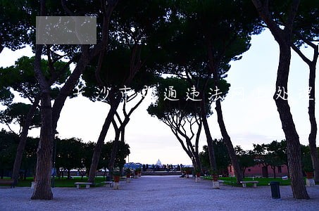 长沙市交通违法网上处理 长沙市交通违法网上处理
