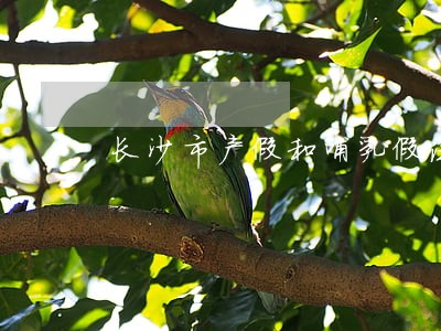 长沙市产假和哺乳假法律条文