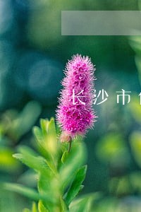 长沙市代理债务律师微信咨询 长沙市代理债务律师微信咨询