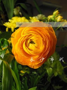 长沙市代理房产律师官司 长沙市代理房产律师官司