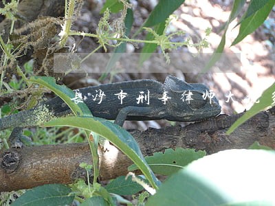 长沙市刑事律师大概多少钱 长沙市刑事律师大概多少钱