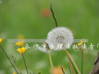 长沙市办理债权债务律师咨询 长沙市办理债权债务律师咨询