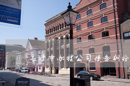 长沙市办理公司债务纠纷律师 长沙市办理公司债务纠纷律师