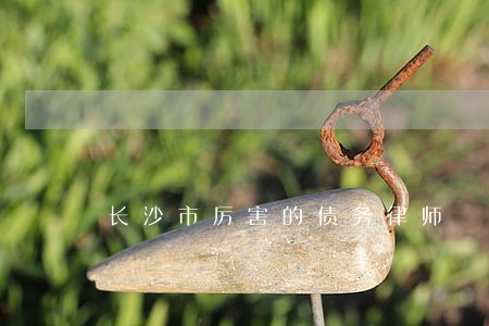 长沙市厉害的债务律师
