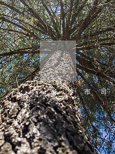 长沙市司法热线 长沙市司法热线