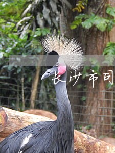 长沙市司法状况 长沙市司法状况