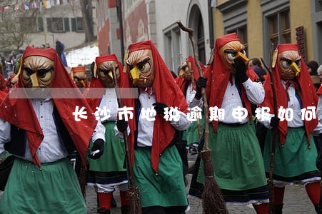 长沙市地税逾期申报如何补报 长沙市地税逾期申报如何补报