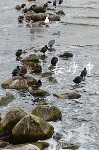 长沙市开福区法院是哪个社区 长沙市开福区法院是哪个社区