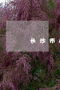 长沙市房地产律师多少钱 长沙市房地产律师多少钱