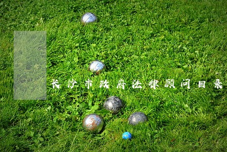 长沙市政府法律顾问目录 长沙市政府法律顾问目录