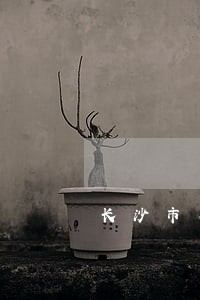 长沙市有几家司法鉴定中心