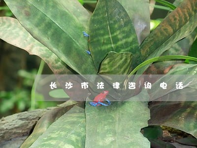 长沙市法律咨询电话 长沙市法律咨询电话