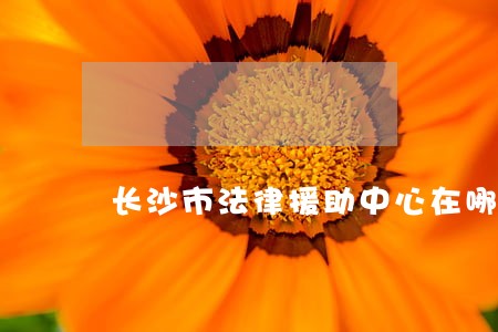 长沙市法律援助中心在哪 长沙市法律援助中心在哪