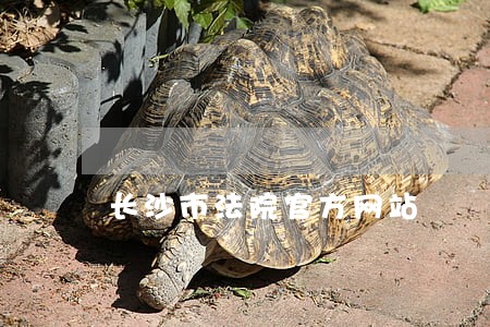 长沙市法院官方网站