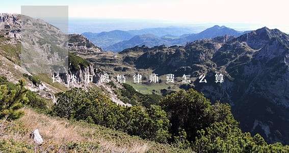 长沙市离婚律师费怎么算 长沙市离婚律师费怎么算