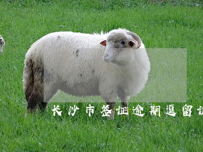 长沙市签证逾期逗留证明 长沙市签证逾期逗留证明