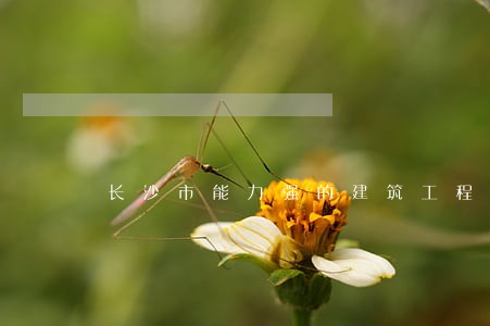 长沙市能力强的建筑工程律师 长沙市能力强的建筑工程律师