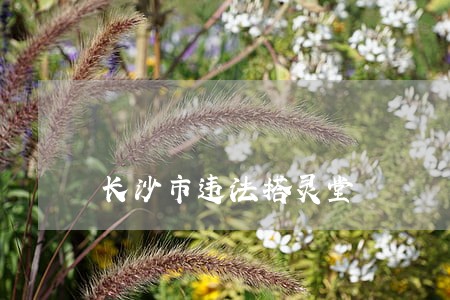 长沙市违法搭灵堂 长沙市违法搭灵堂