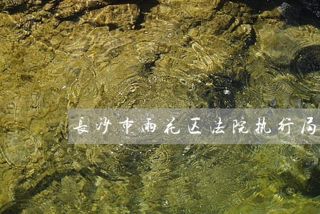 长沙市雨花区法院执行局李闯 长沙市雨花区法院执行局李闯