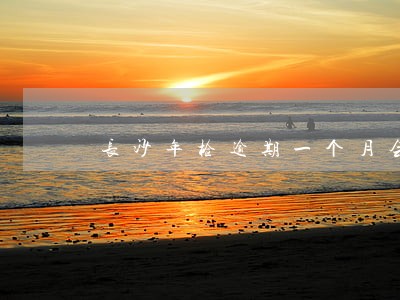 长沙年检逾期一个月会怎么样 长沙年检逾期一个月会怎么样