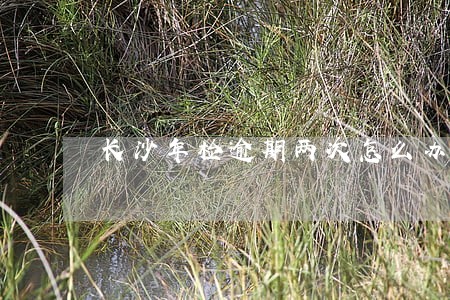 长沙年检逾期两次怎么办 长沙年检逾期两次怎么办