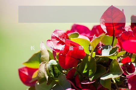 长沙年检逾期半个月 长沙年检逾期半个月