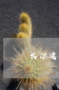 长沙建行逾期一天补房贷