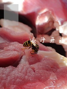 长沙开福区法院二手房 长沙开福区法院二手房