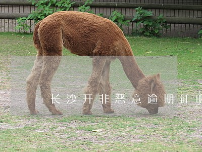 长沙开非恶意逾期证明 长沙开非恶意逾期证明
