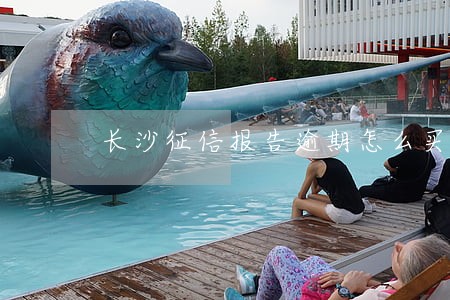长沙征信报告逾期怎么买房 长沙征信报告逾期怎么买房