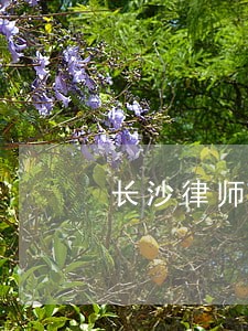 长沙律师吊销律师证 长沙律师吊销律师证