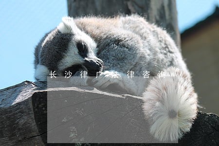 长沙律广法律咨询 长沙律广法律咨询