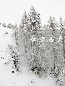 长沙房产纠纷律师 长沙房产纠纷律师