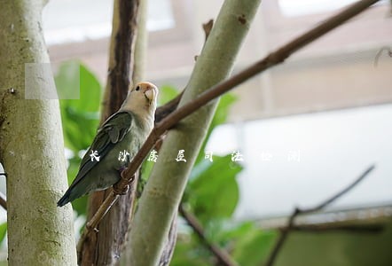 长沙房屋司法检测 长沙房屋司法检测