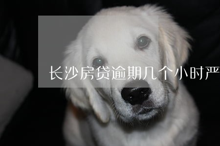 长沙房贷逾期几个小时严重吗 长沙房贷逾期几个小时严重吗