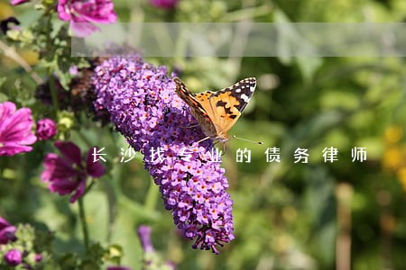 长沙找专业的债务律师 长沙找专业的债务律师