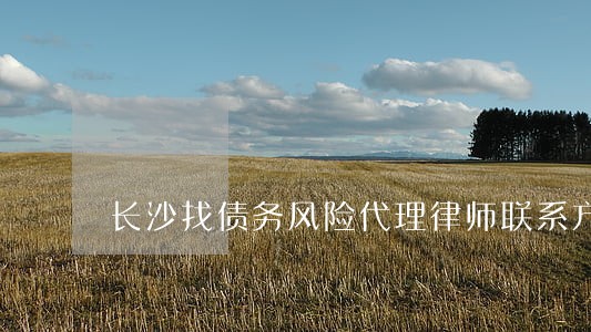 长沙找债务风险代理律师联系方式