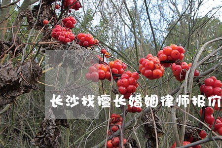 长沙找擅长婚姻律师报价 长沙找擅长婚姻律师报价